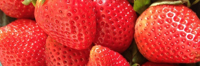 Healthy Eating and Exercise on Vacation this Summer
