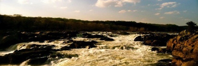 Top Five Springtime Outdoor Activities in Washington, DC Area